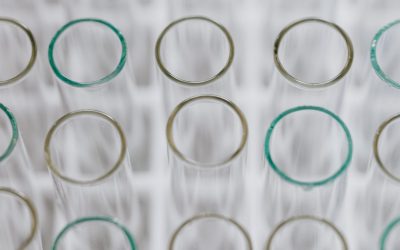 pexels-karolina-grabowska-4021793 FDA: SARS-CoV-2 mutations impact on COVID-19 tests